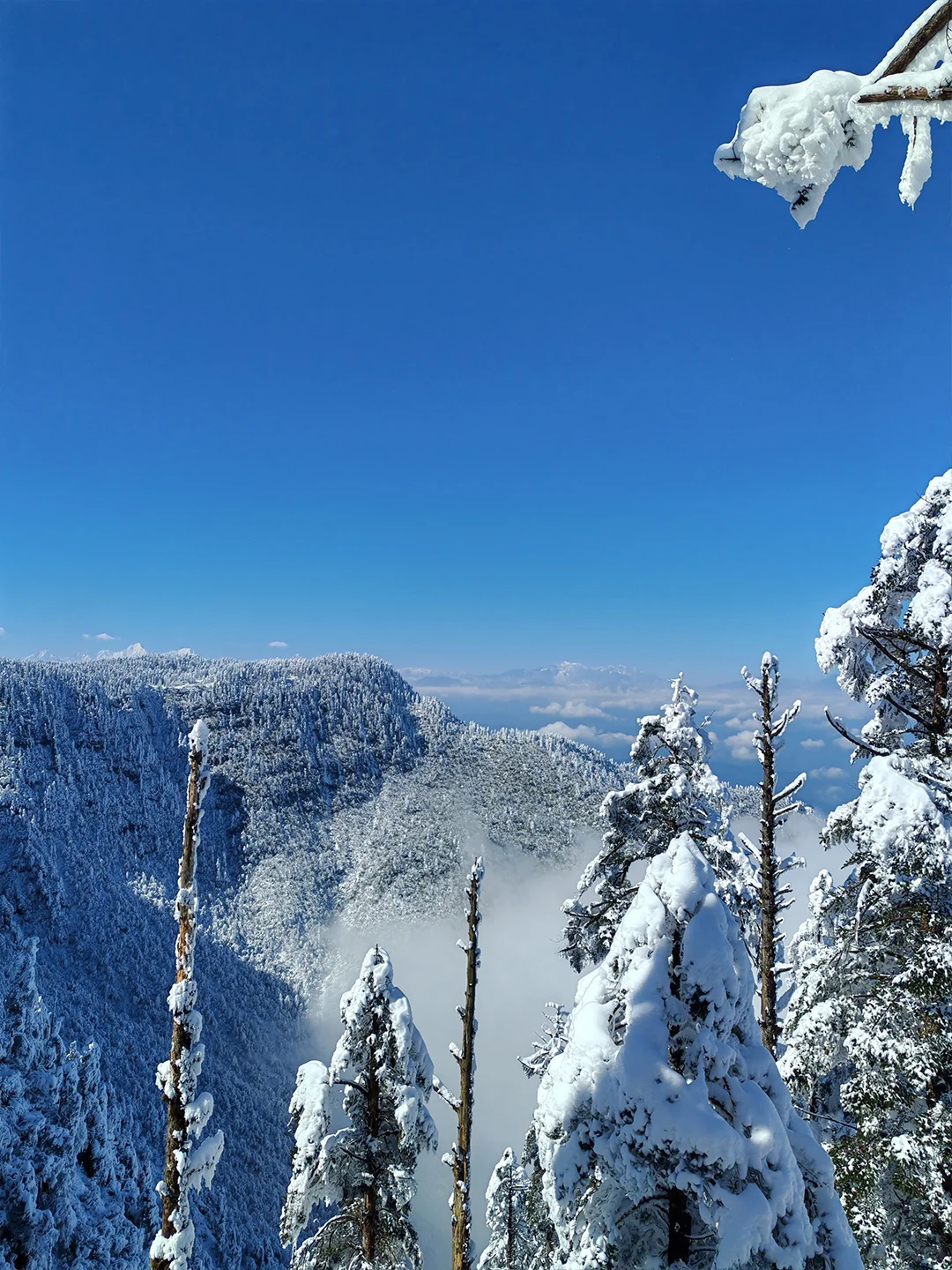 去瓦屋山提前买票❗️门票➕双索道套票168💰