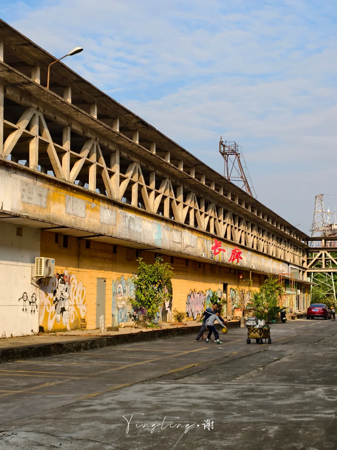 🌺花都开好了。