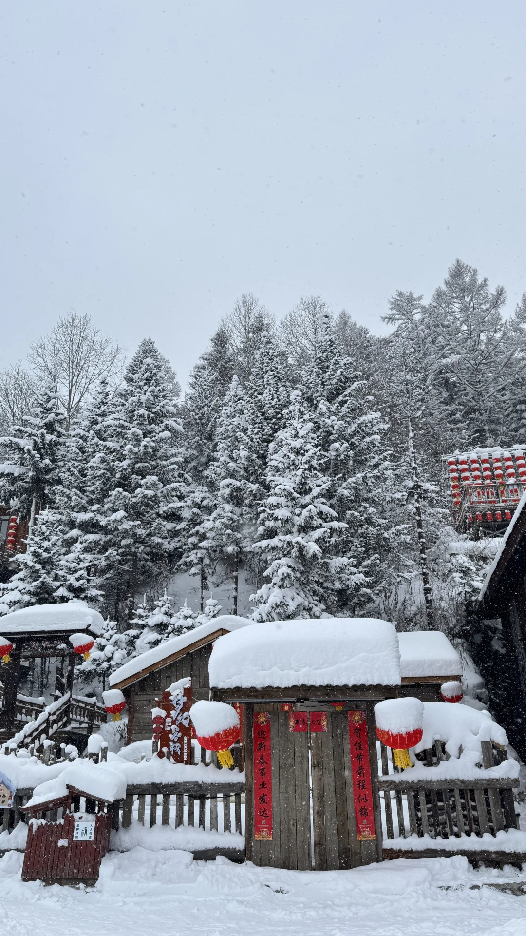 带娃游雪乡超全攻略避坑