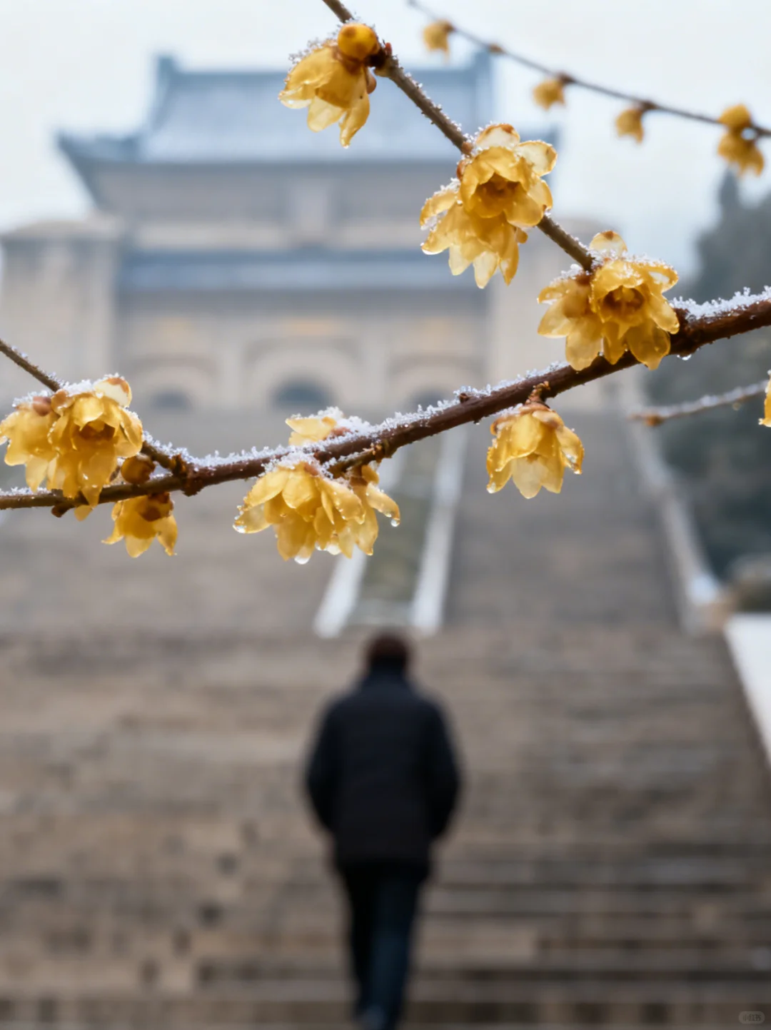 狮子座旅行指南：这三城最能托住你的高光