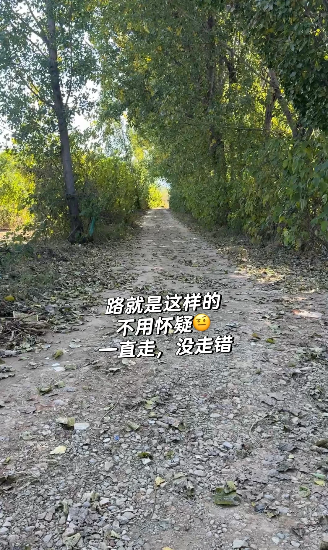 石家庄龙泉湖捡木瓜｜赏秋｜看我一篇就够啦