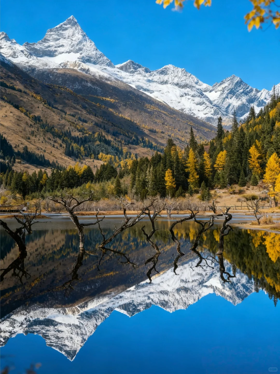 被《国家地理》评为中国最美的秋天有多绝！