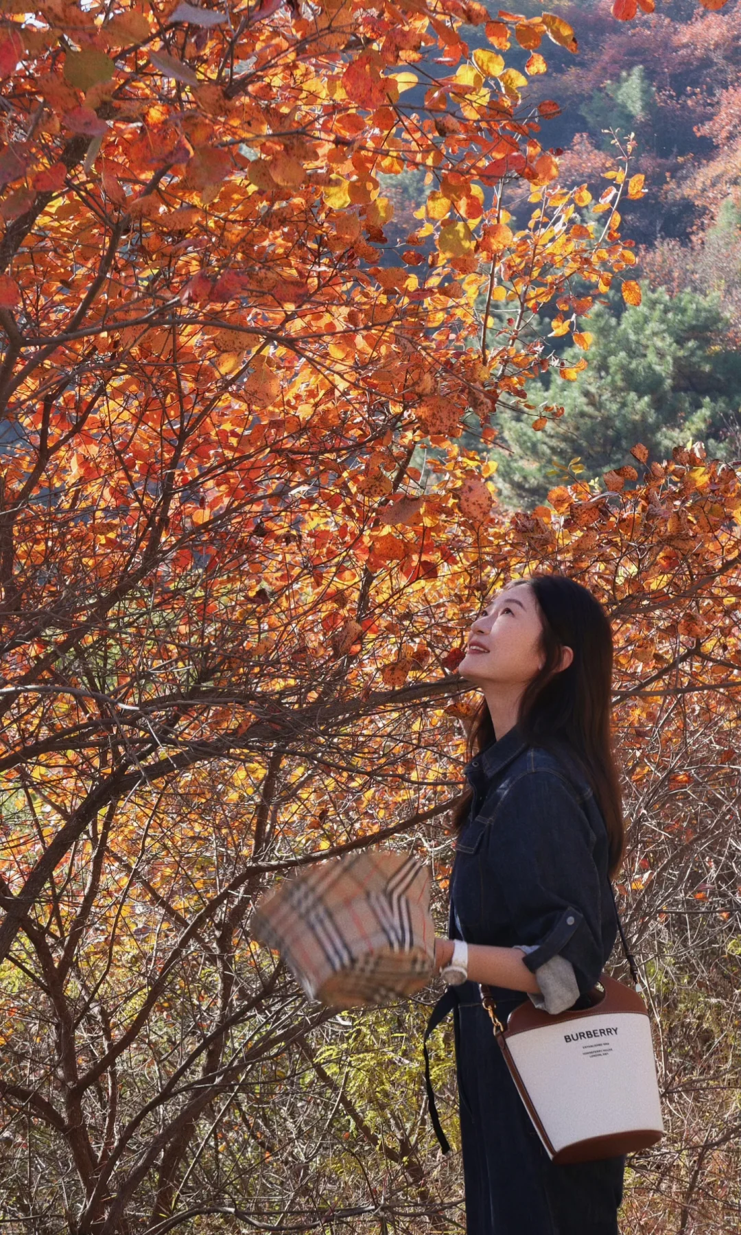 石家庄｜最美红叶观赏路线