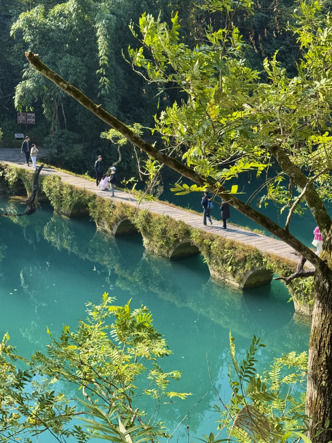 12.1实况！！淡季的小七孔简直人间理想！