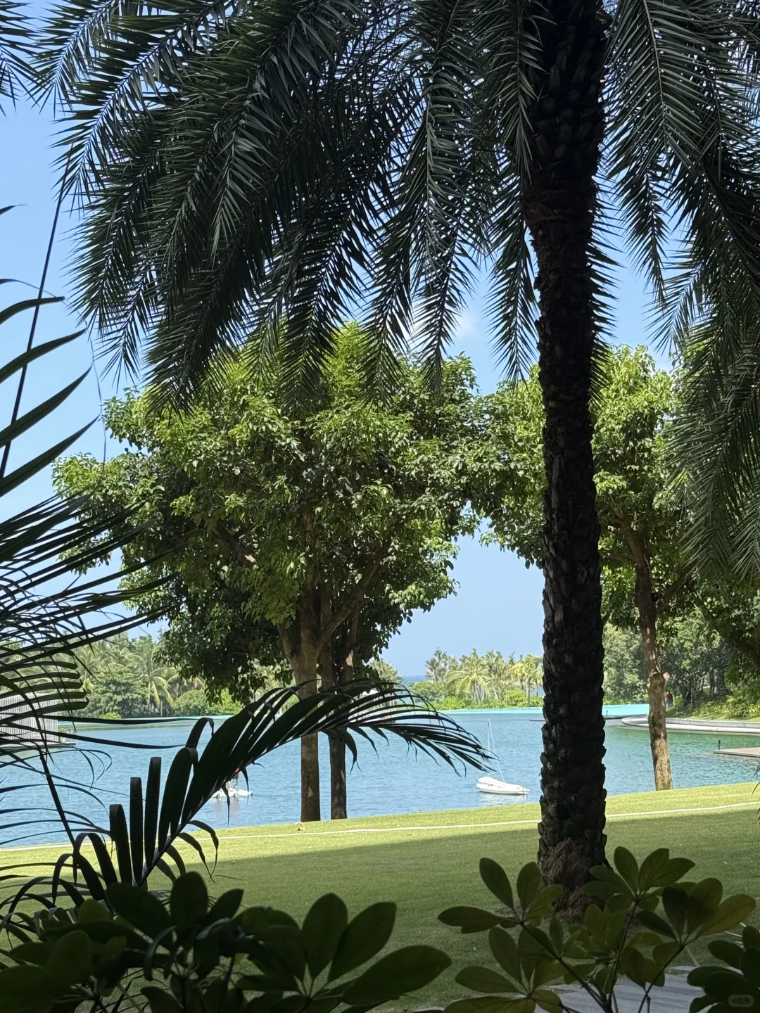 三亚5天4晚(真正度假不劳累)8月可参考