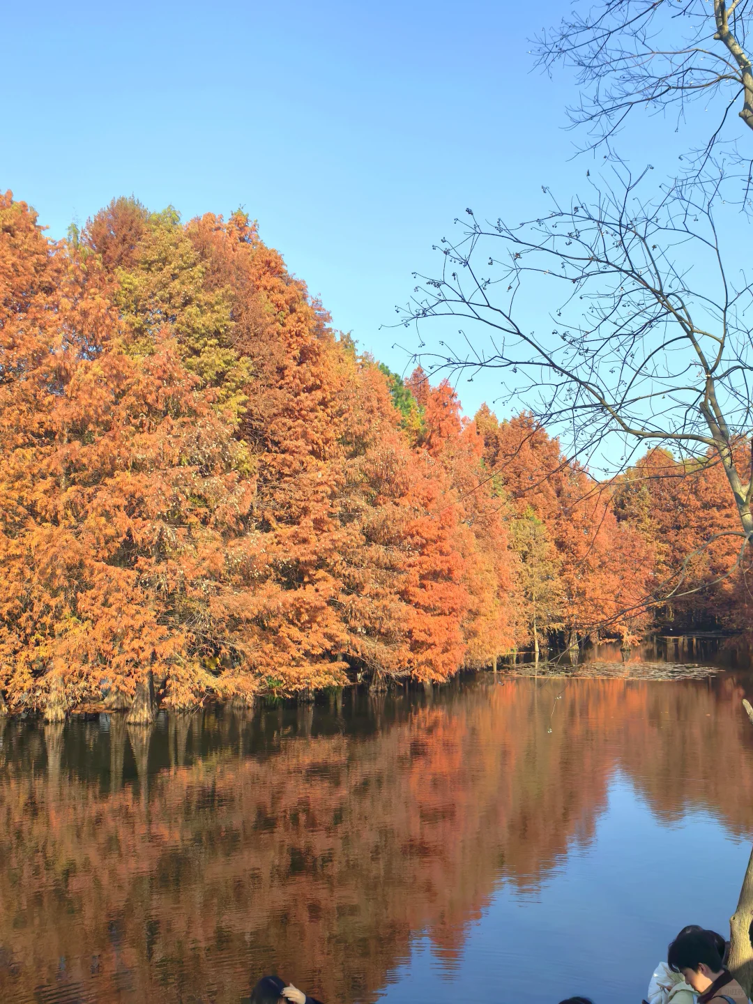 燕雀湖|大自然的颜色