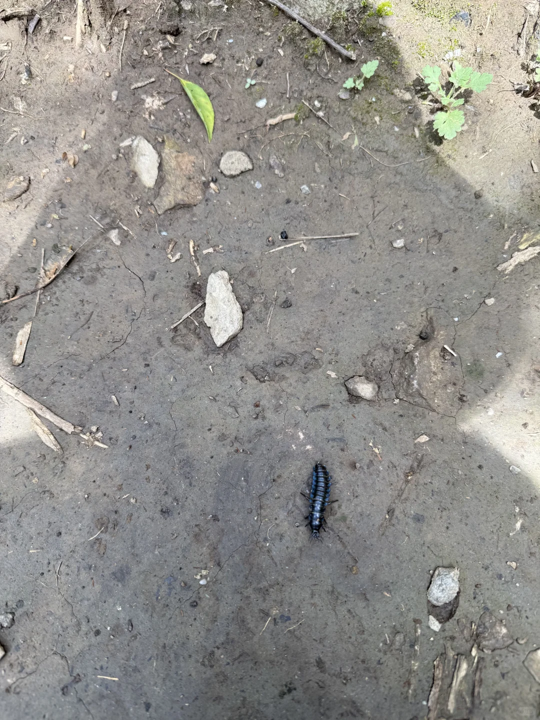 畅玩石家庄惠民卡—璧山