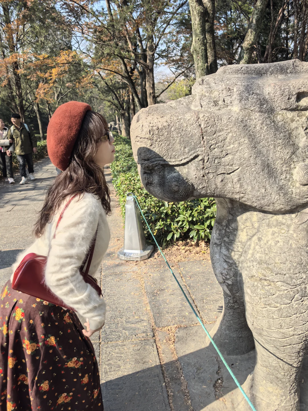 ✌️八小时暴走南京的秋游精华攻略🍁