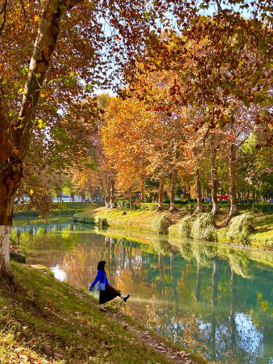 原来成都封神的秋景都是免费的。。。。附地址