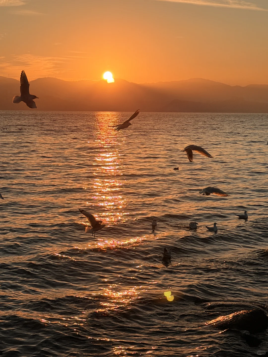 live实况🕊️今天的大理！！！杀疯了！！！！！！！！