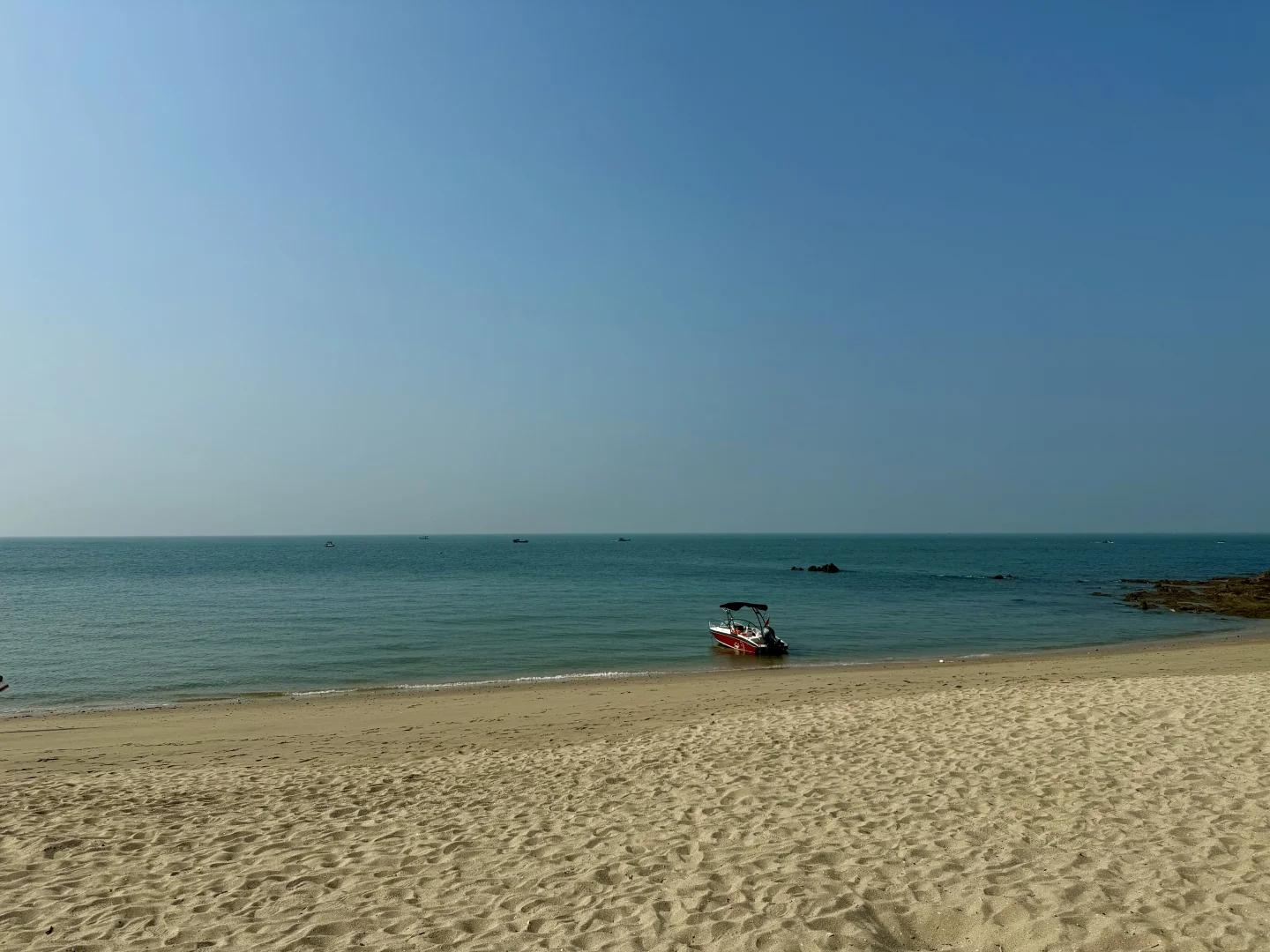 船在林中走，人在画里游