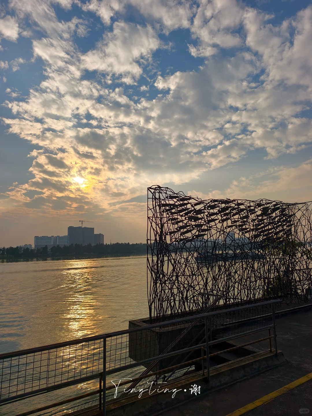 🌺花都开好了。