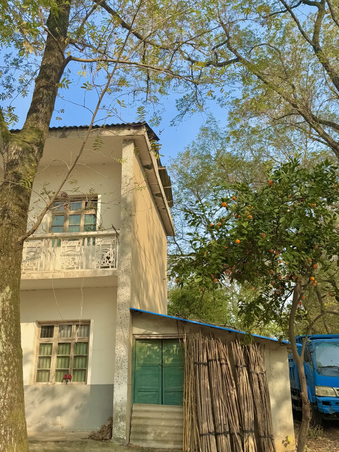 小岛秋天|龙鳞沙滩看实况图有落叶,江风声