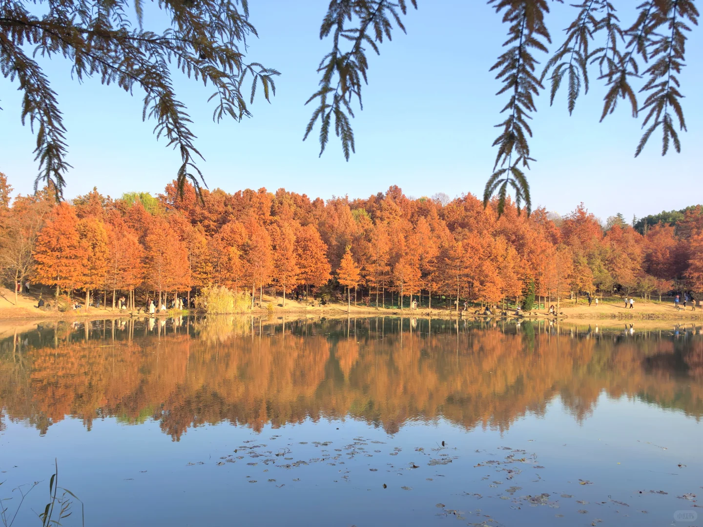 燕雀湖|大自然的颜色