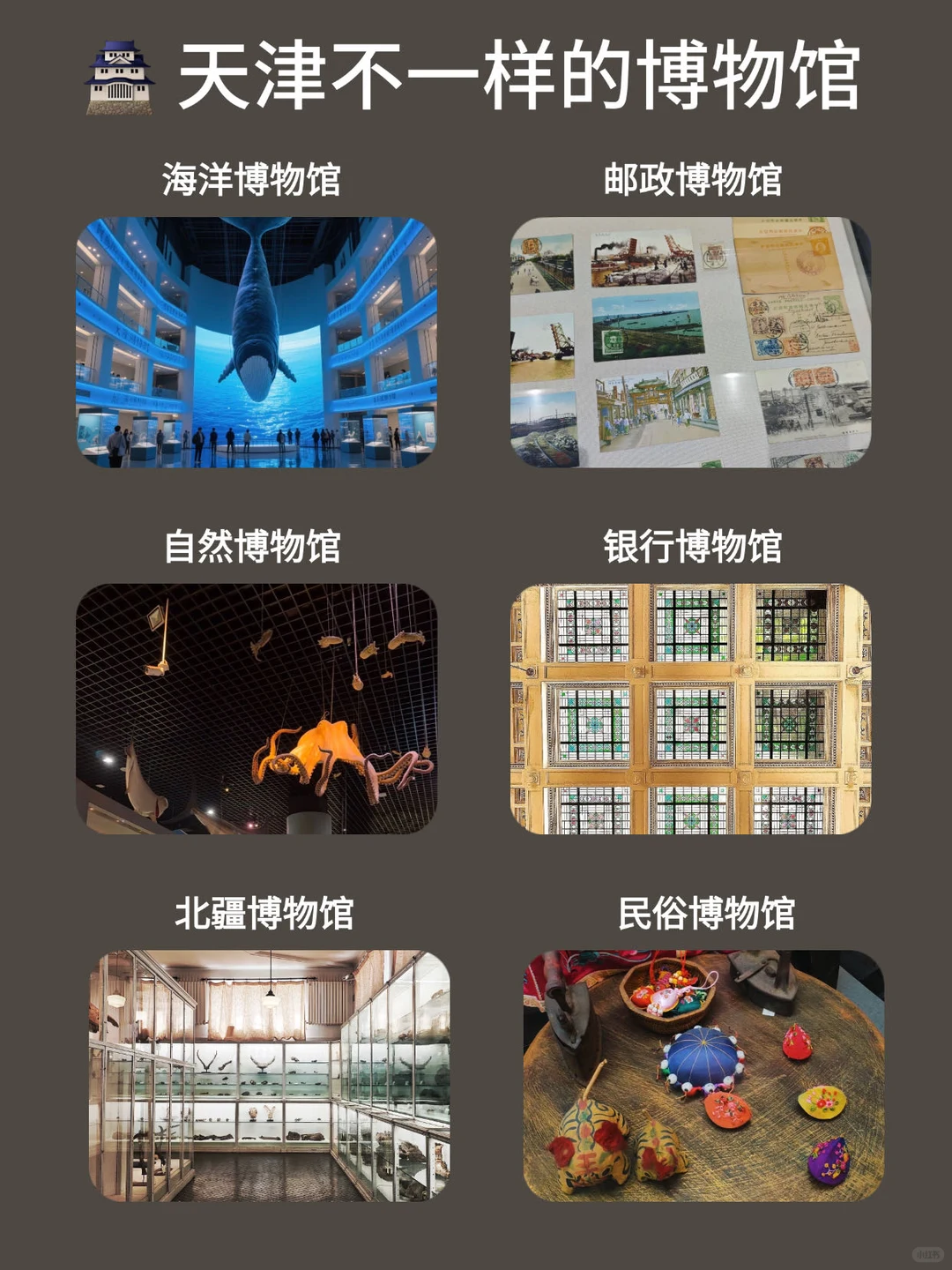 已被宰，话虽难听，但这就是天津现状😅….