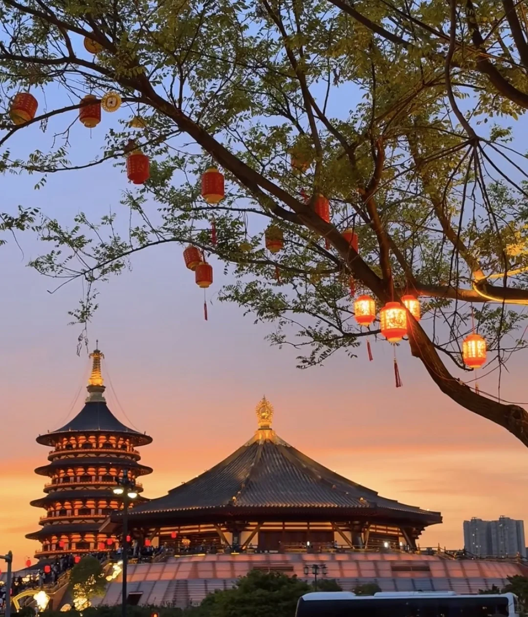 📍洛阳“远赴人间惊鸿宴，一睹人间盛世颜”