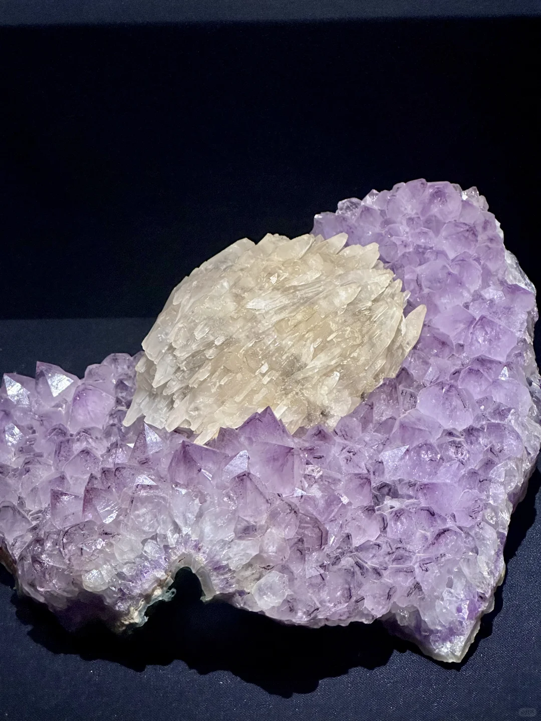 济南人欠全国一个解释。。。。。。。。。。