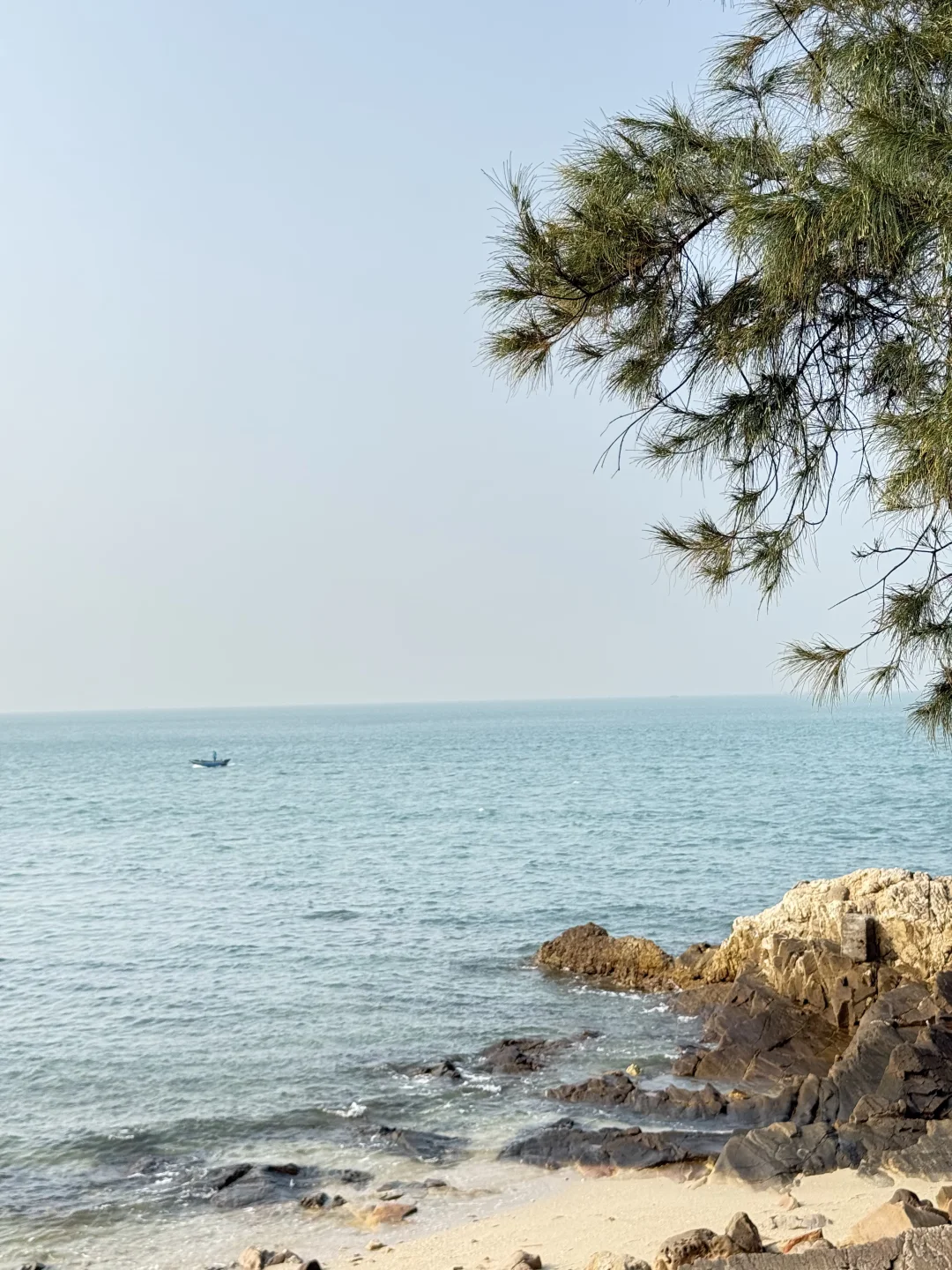 船在林中走，人在画里游