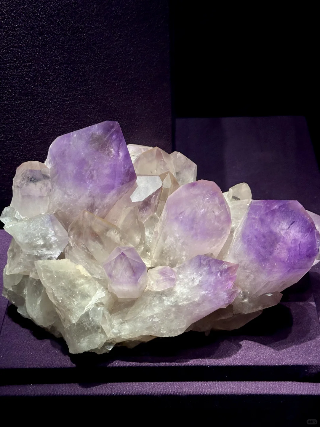 济南人欠全国一个解释。。。。。。。。。。