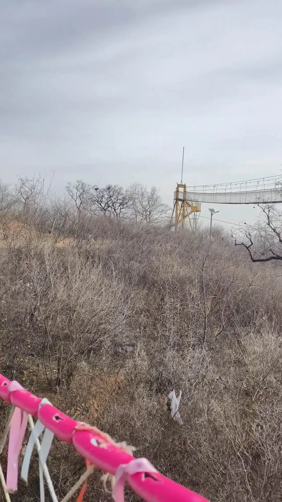 石家庄遛娃||周末徒步一日营