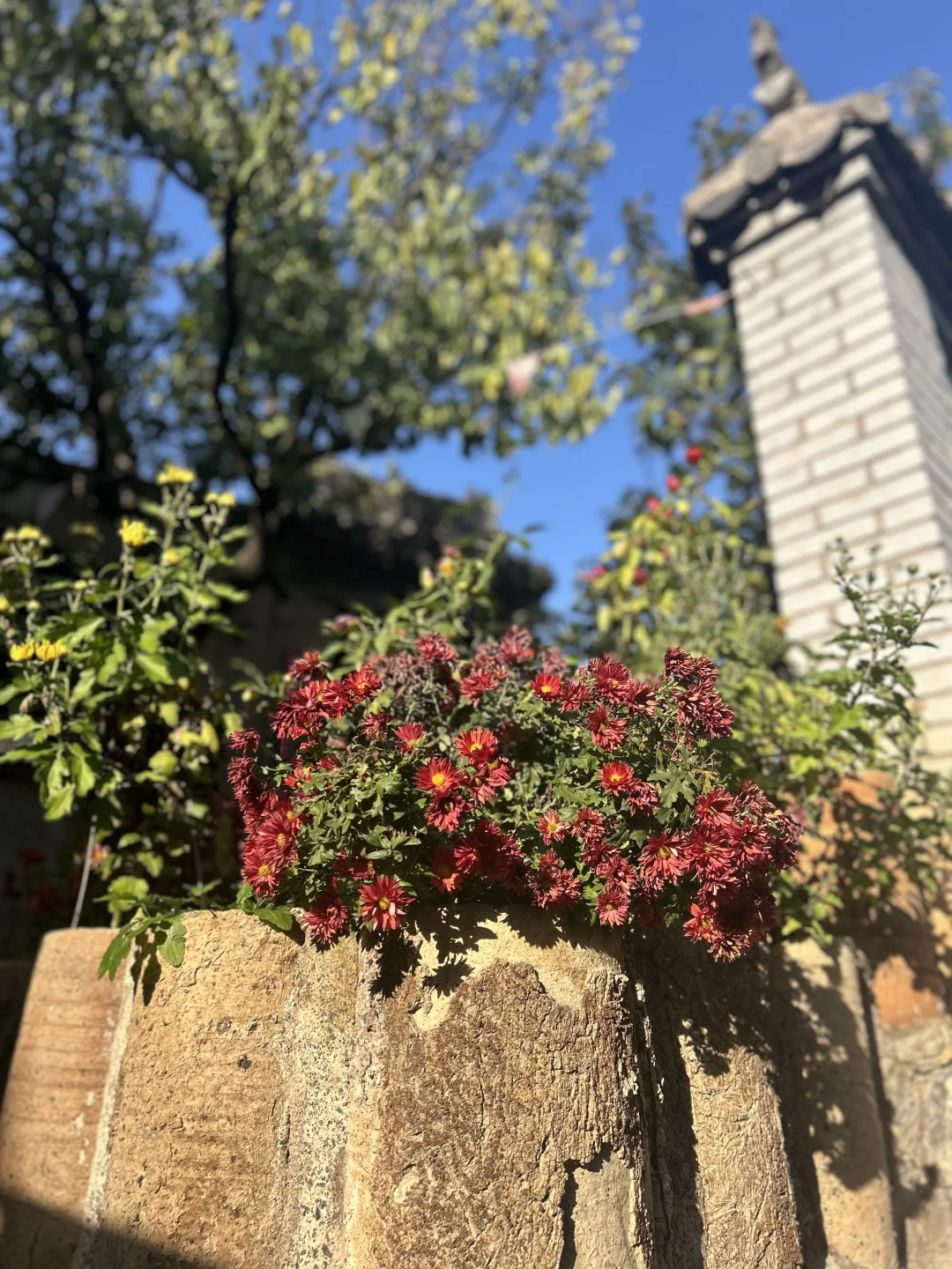 误入千与千寻的世界！石家庄！关键还免费！