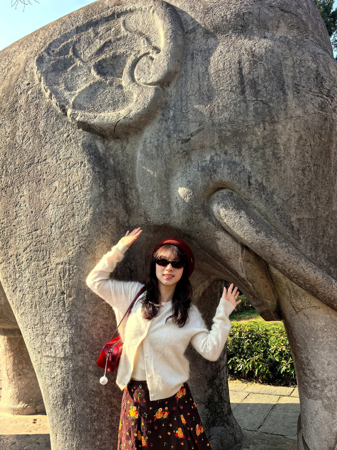 ✌️八小时暴走南京的秋游精华攻略🍁