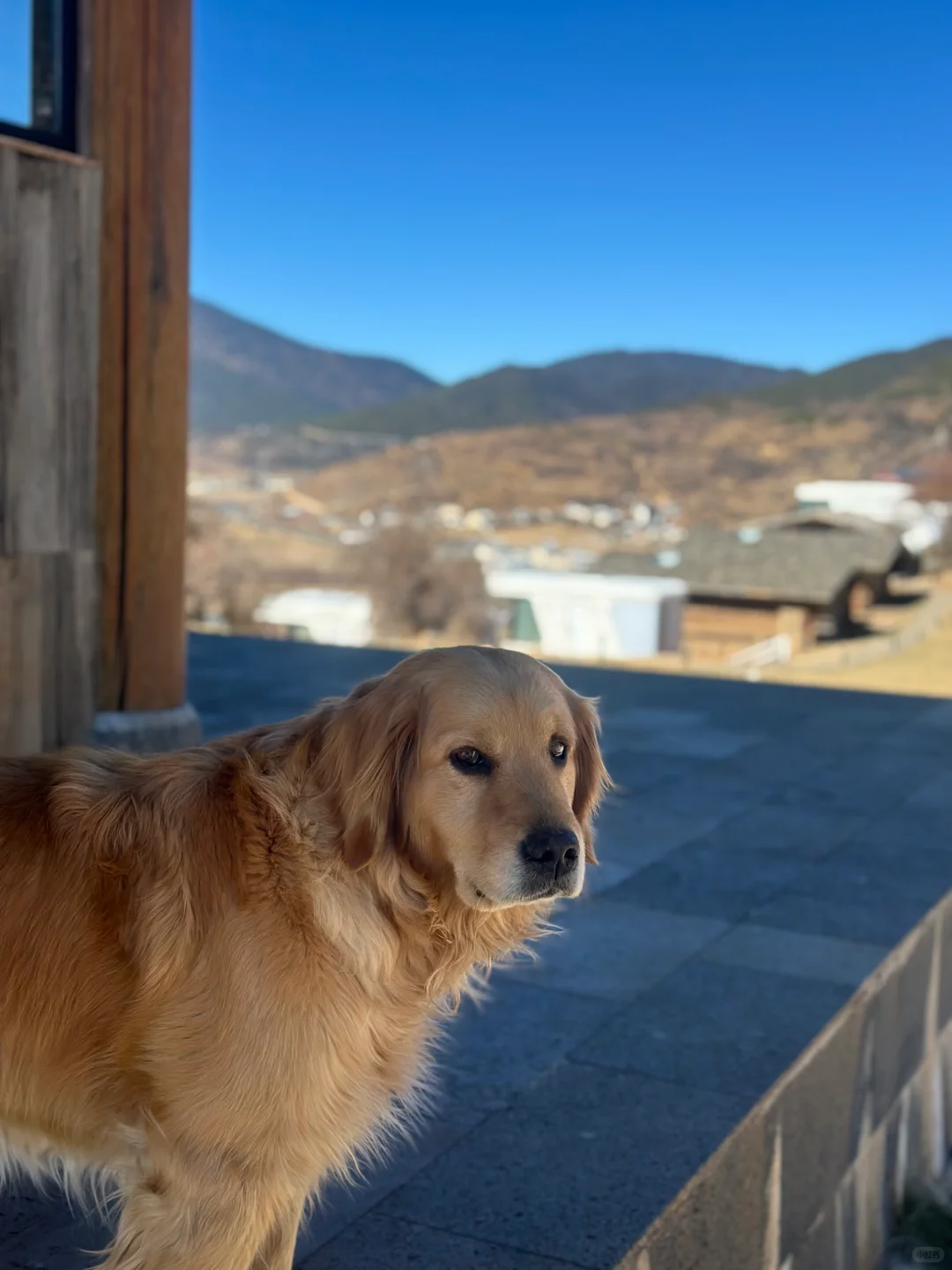 纳帕海小众打卡景点