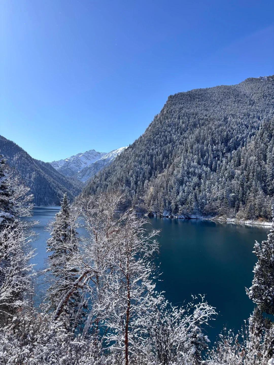 11.17📍九寨沟❗雪景+半价门票真心推荐