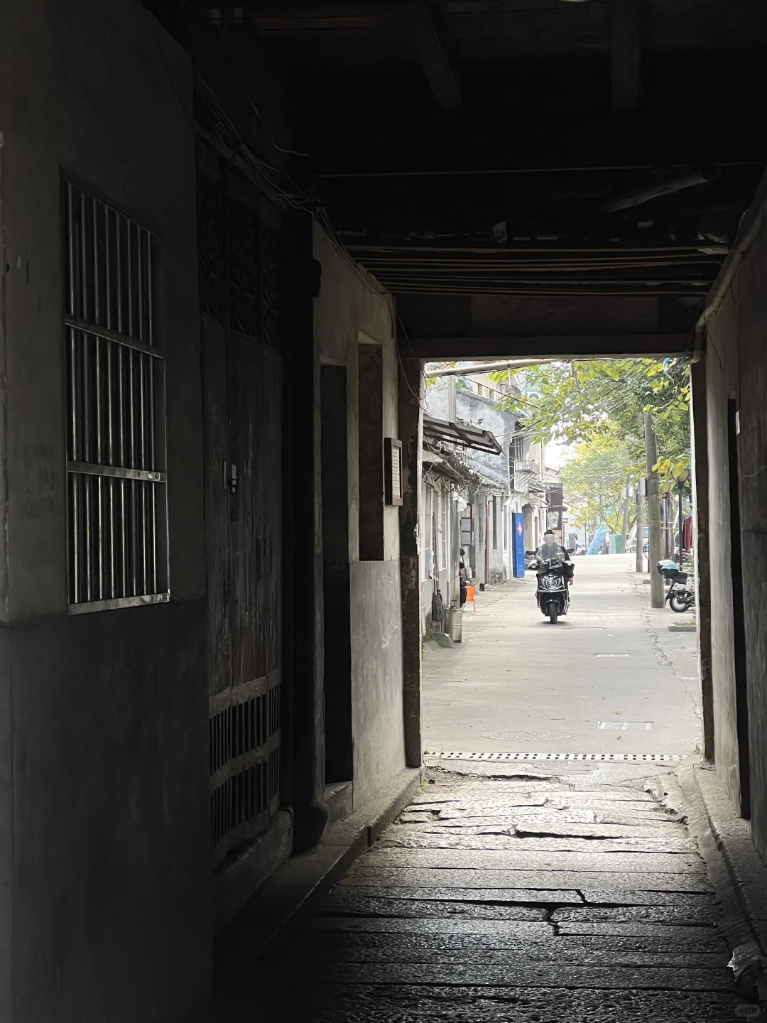 古镇偶遇金像奖得主 ｜ 你小子不适合做地板