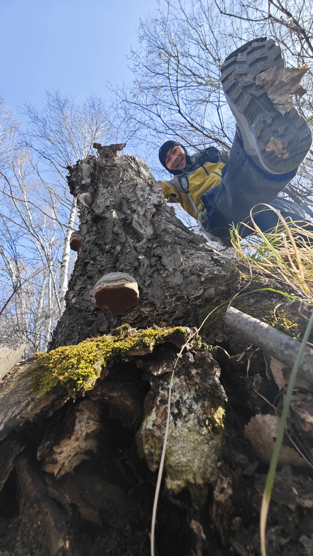 11月23日国际庄周边冬天好去处往这看😏