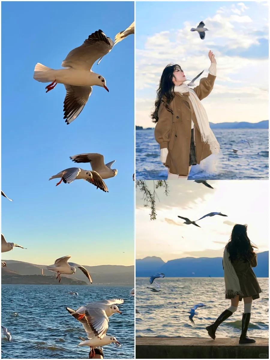 💰68玩转大理7大景点❗送丽江旅拍体验❗