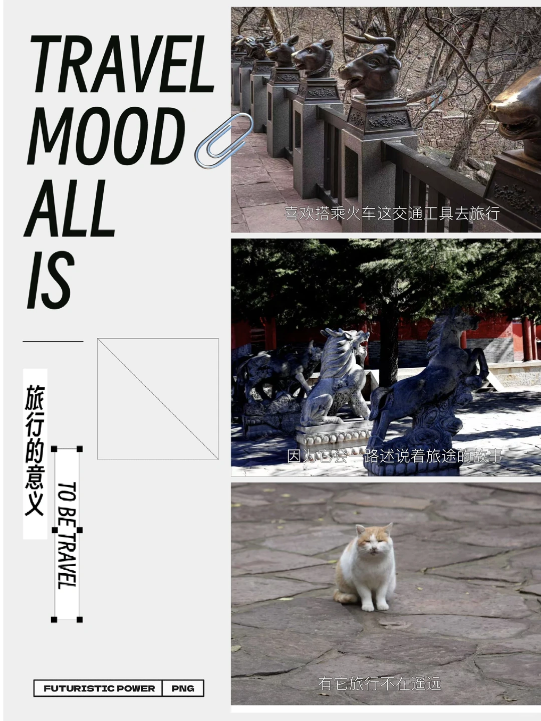 周末闯入时光里的小惊喜✨