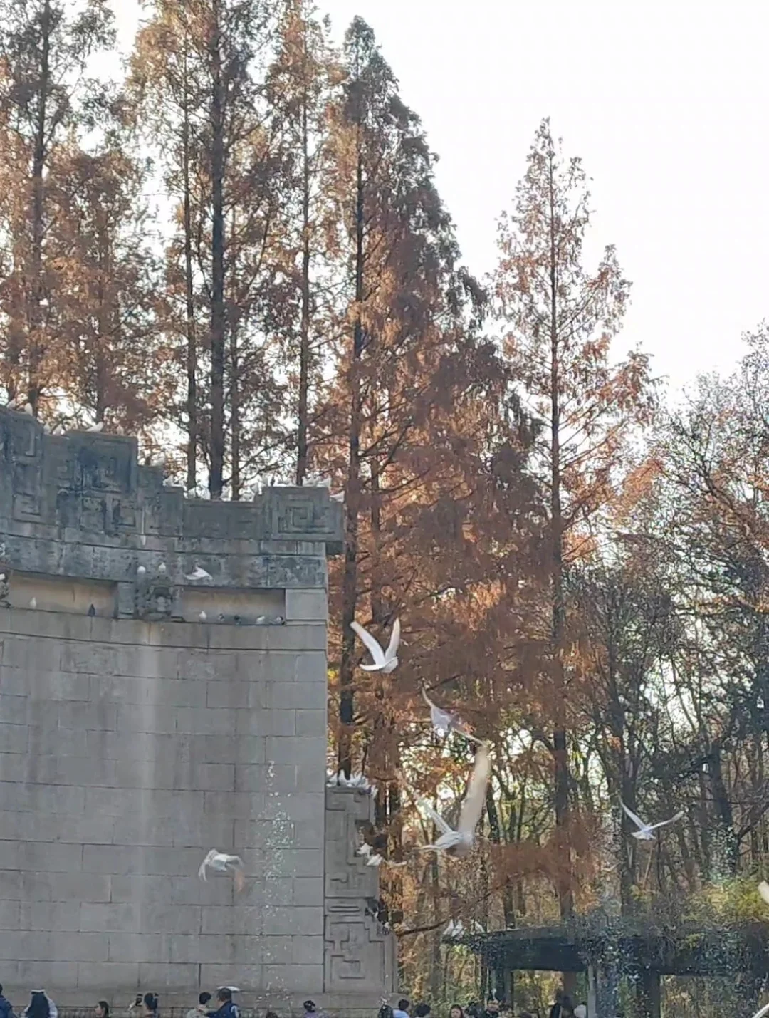 第2⃣️站|音乐台