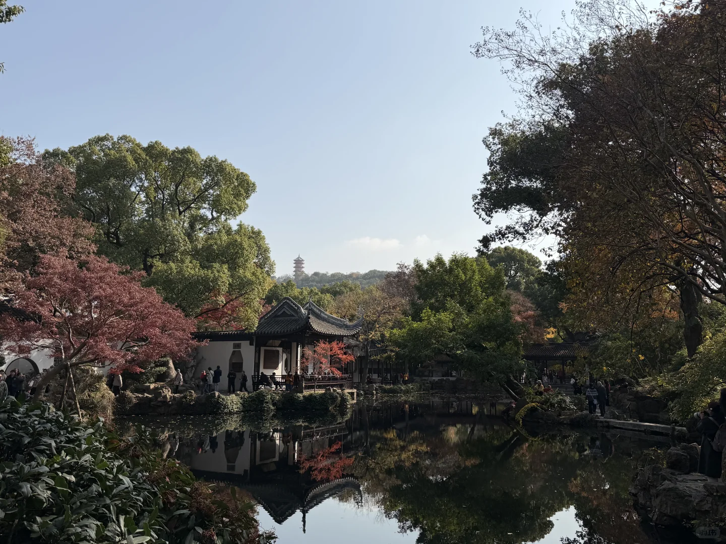 惠山古镇 寄畅园 银杏