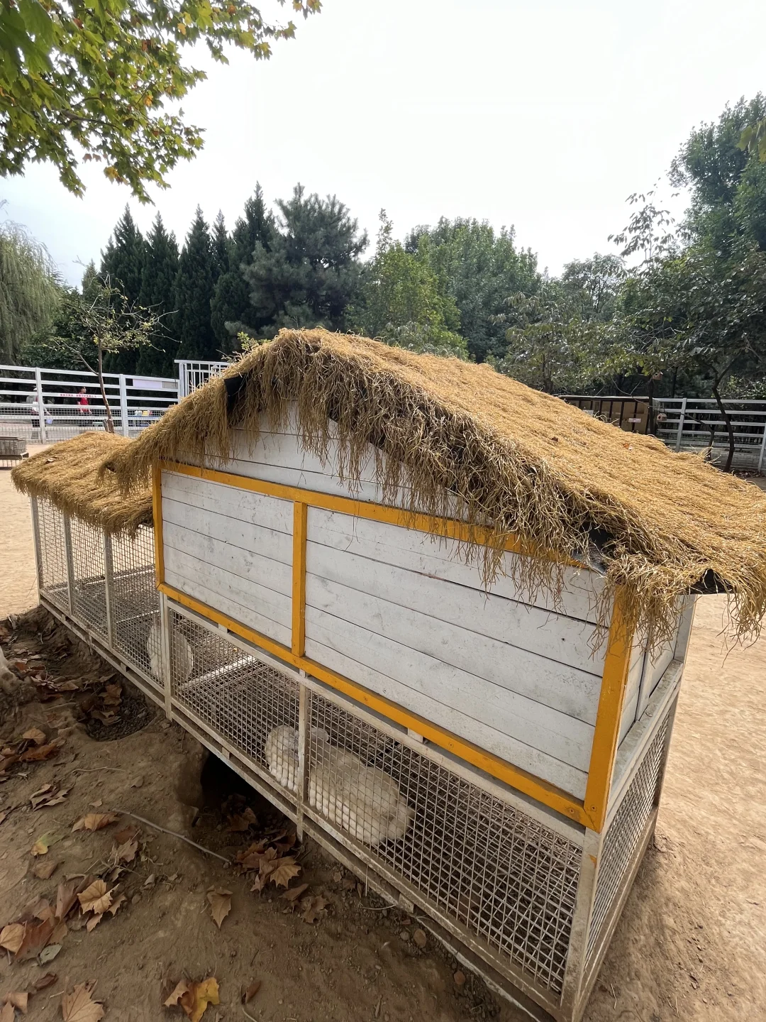 石家庄遛娃不限次玩爽！不排队！