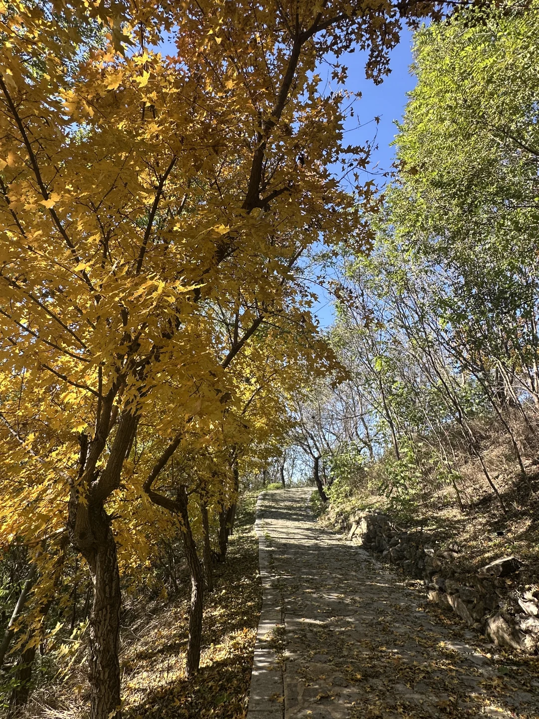 11.1封龙山景区