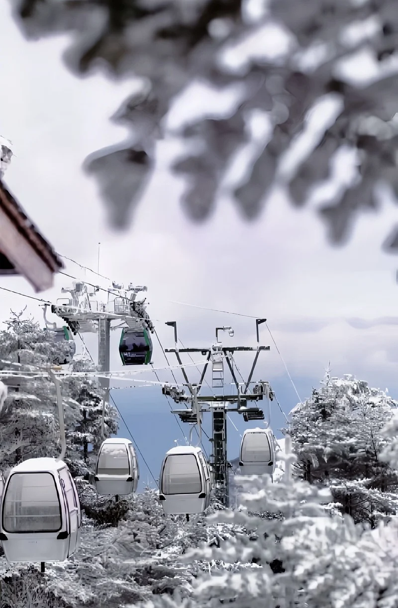 邂逅冰雪仙境❄️轿子雪山最新实况🏔️