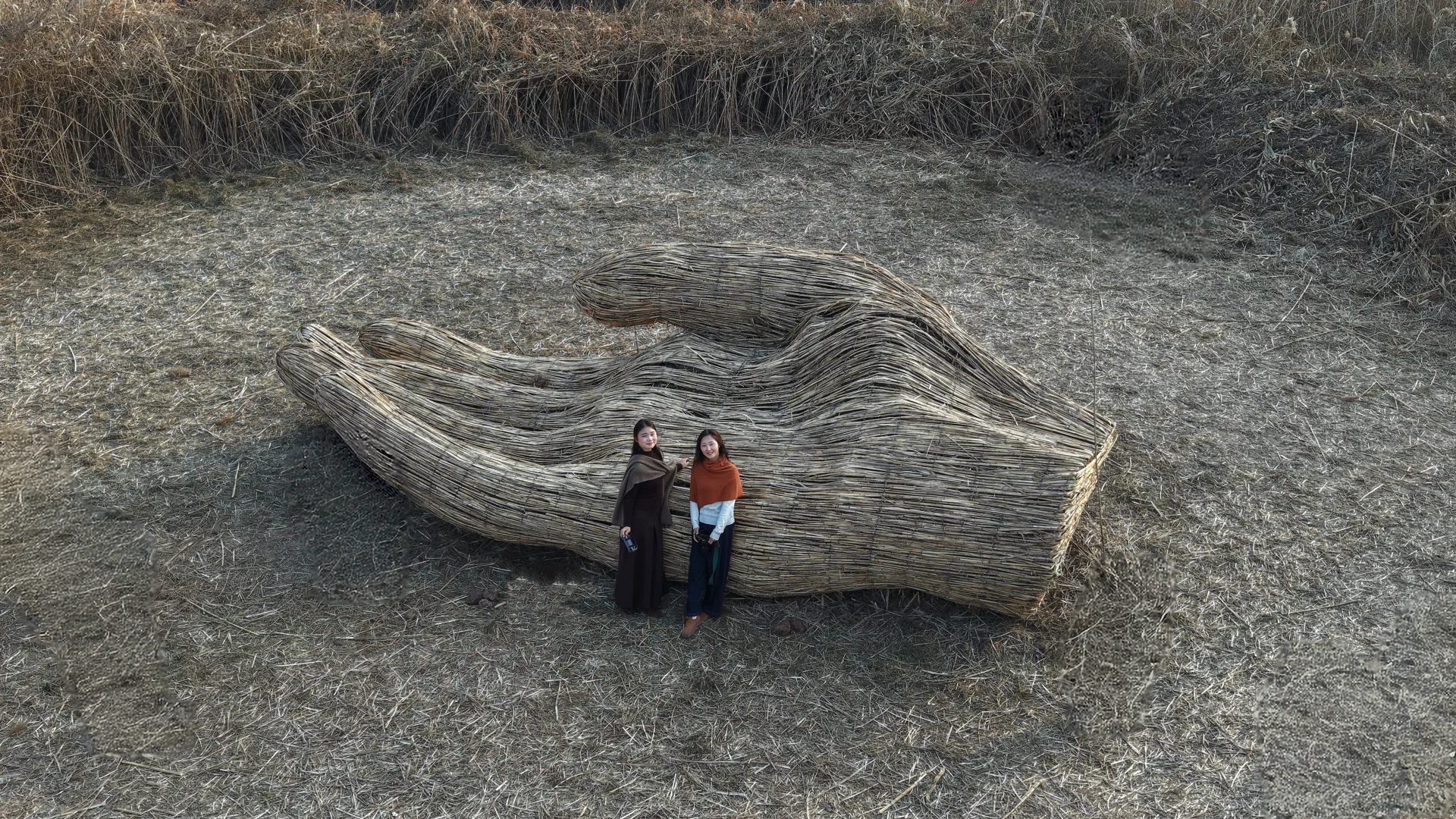 有一种美,叫岳阳的芦苇
