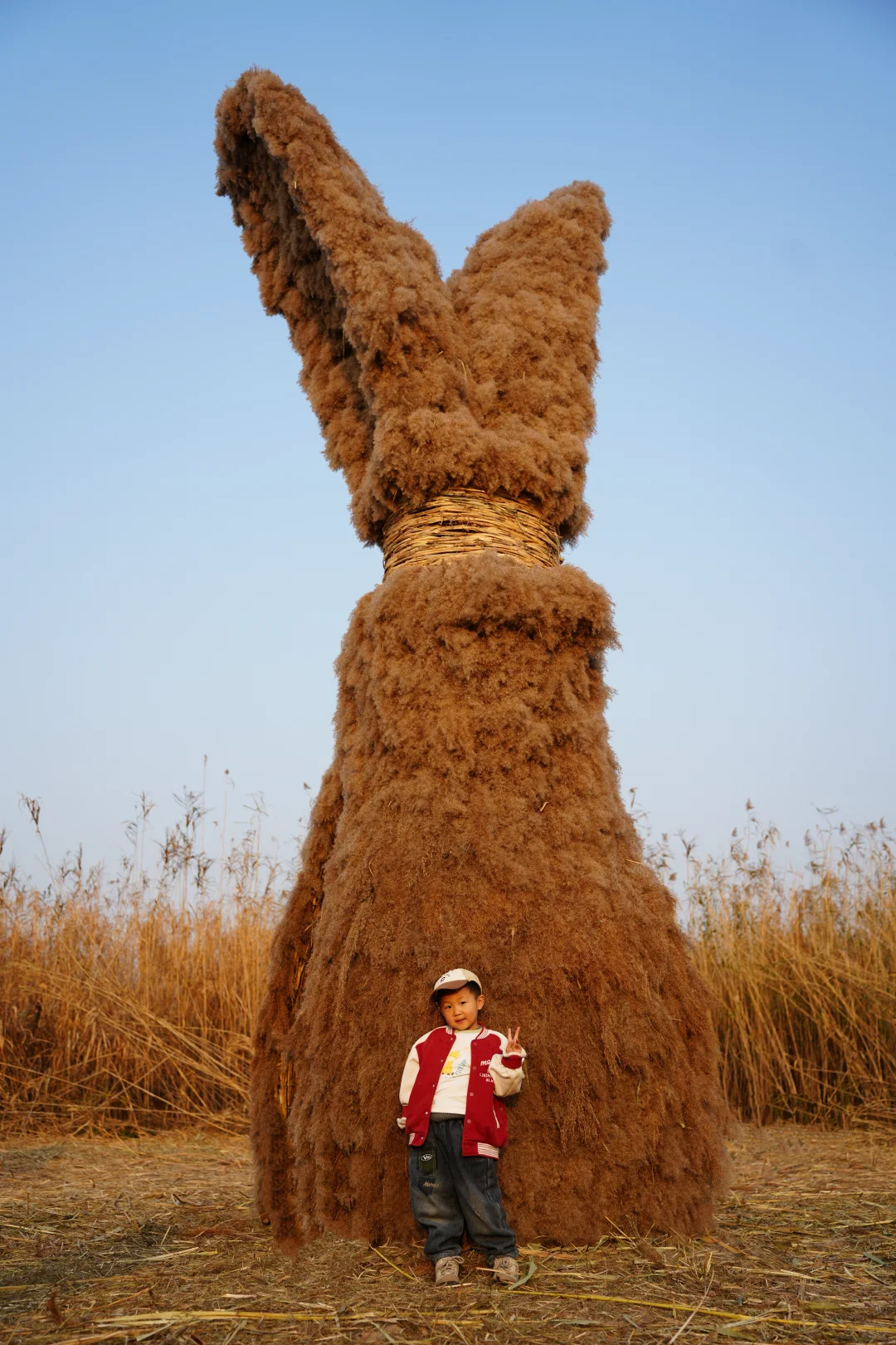 有一种美，叫岳阳的芦苇