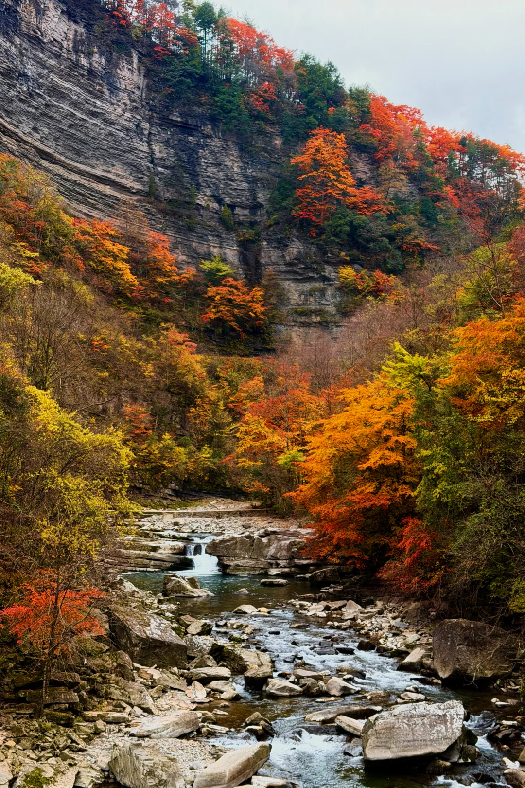 神仙视角下的黎坪秋色