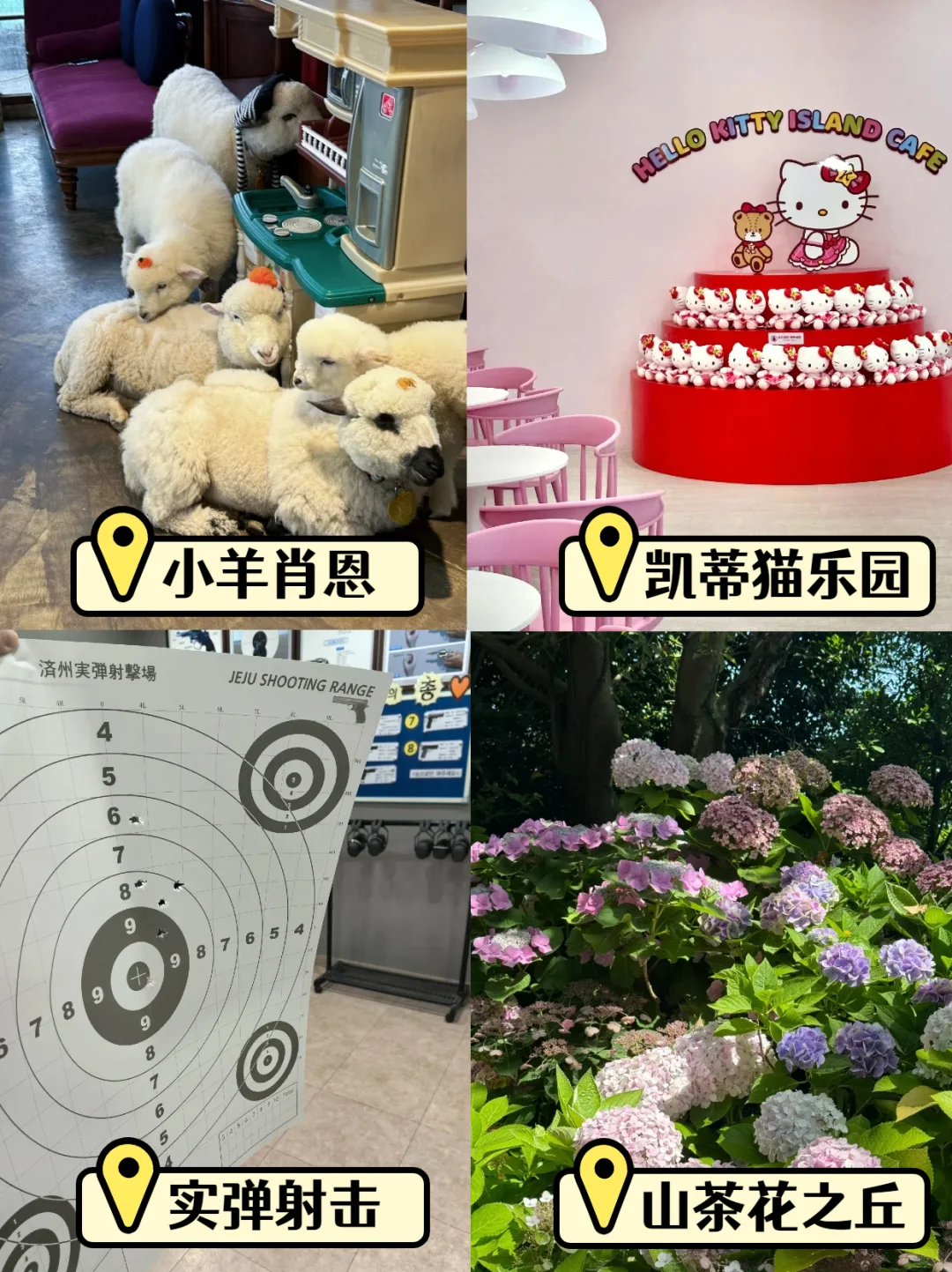 📍济州岛西南线一日游|一天玩遍人气景点