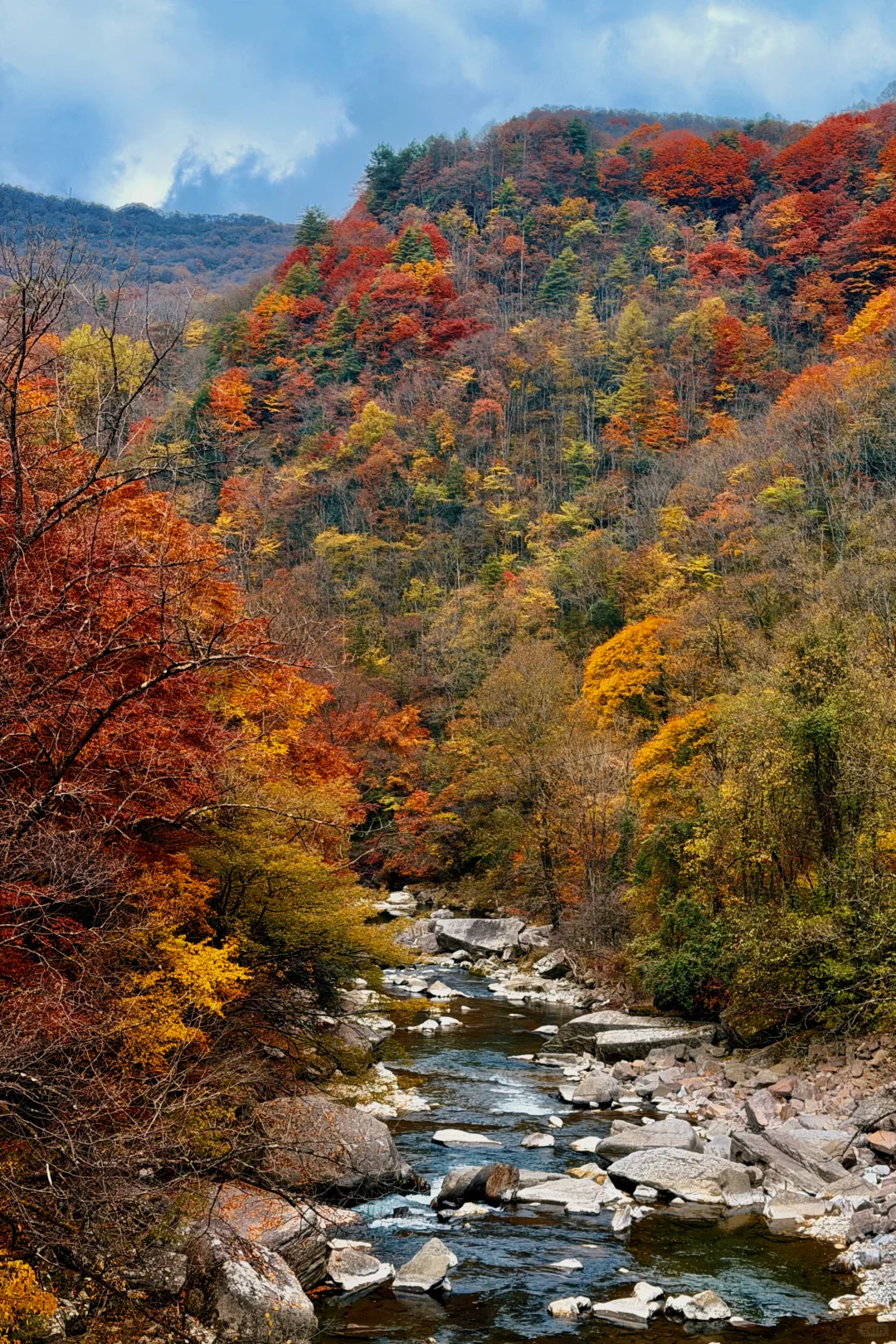 神仙视角下的黎坪秋色
