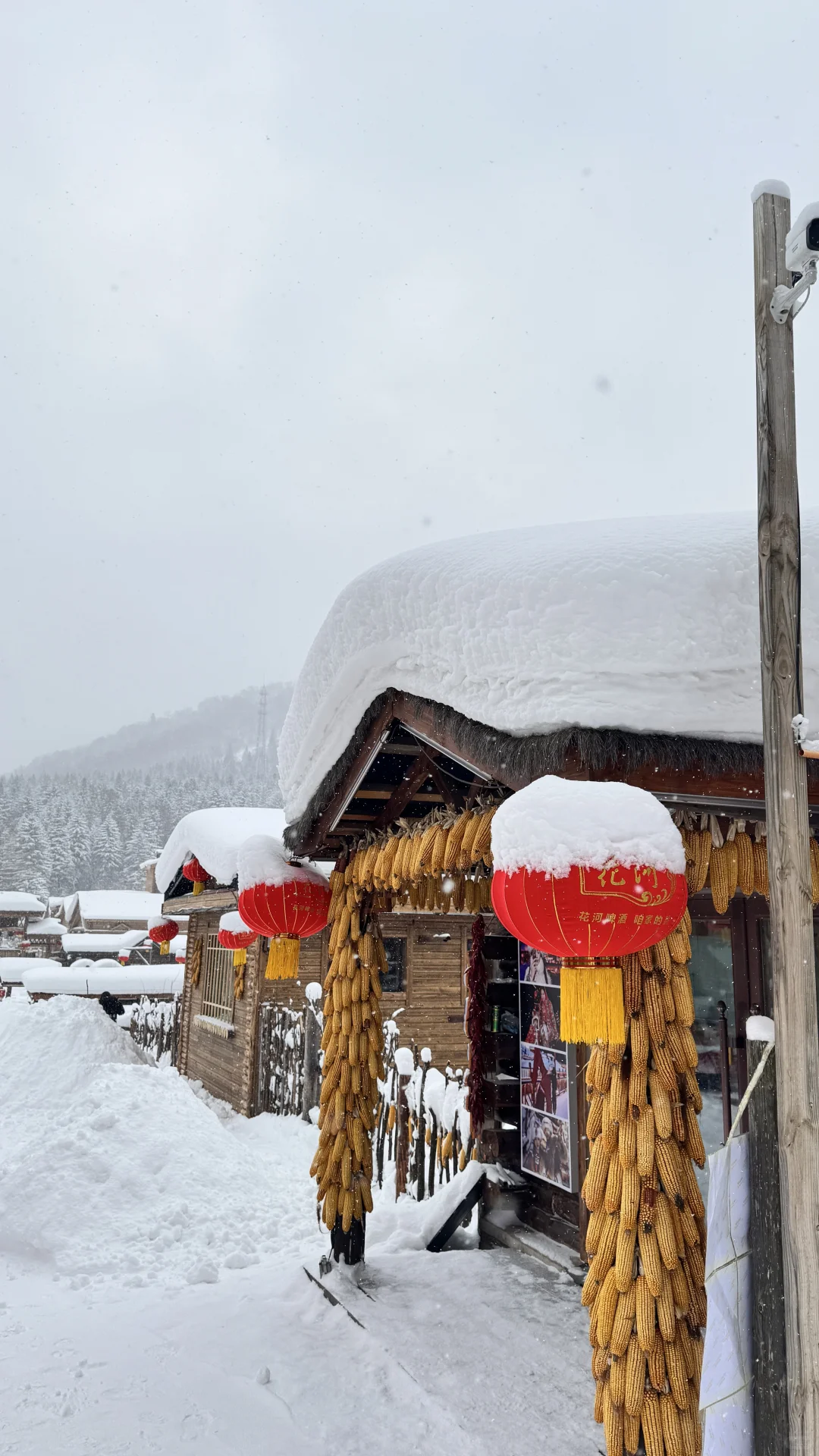 带娃游雪乡超全攻略避坑