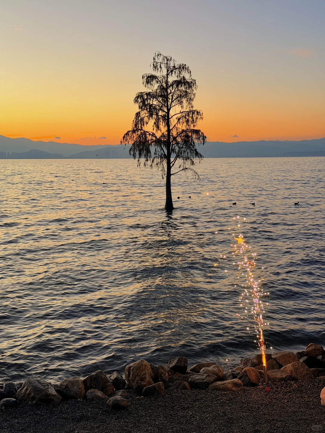 live实况🕊️今天的大理！！！杀疯了！！！！！！！！