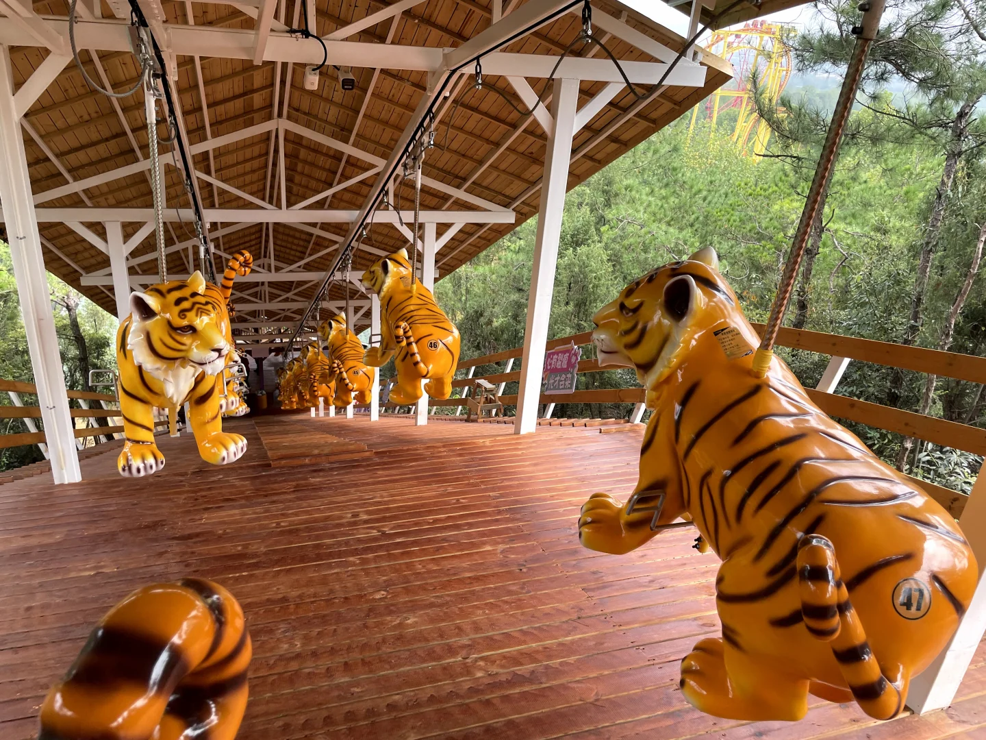 🐎上山飞马｜实用又有趣