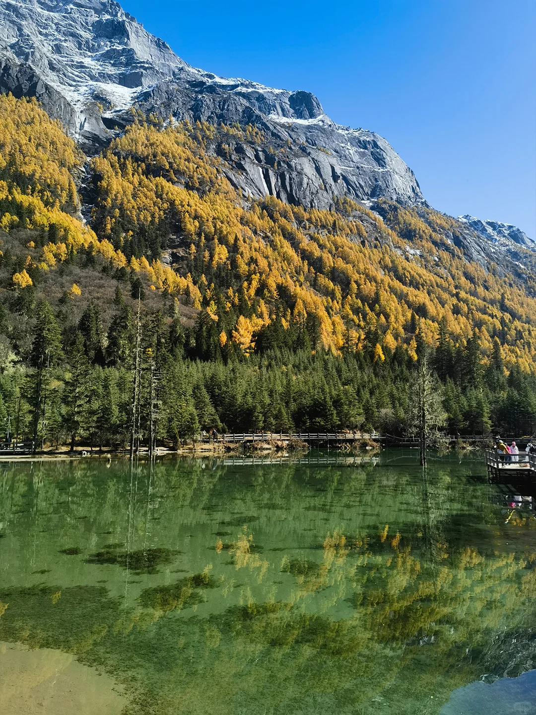 11.10📍四姑娘山已回，真心提醒要去的姐妹们