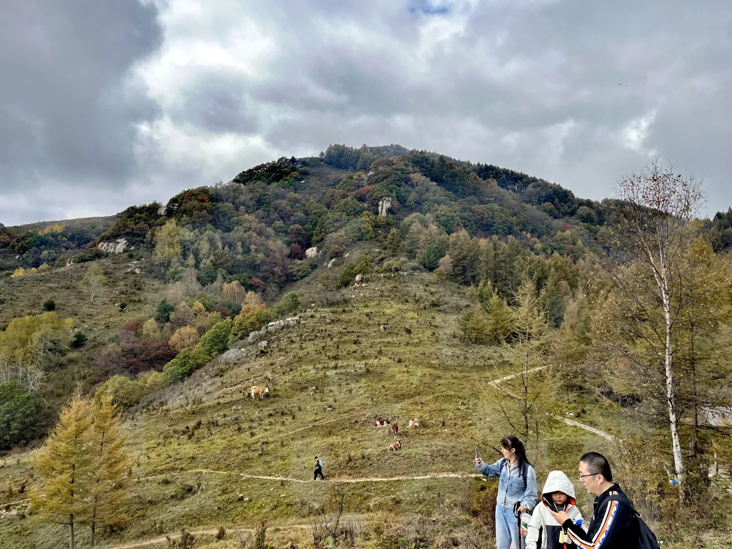 石家庄|没去新疆阿勒泰，被这里美哭了！