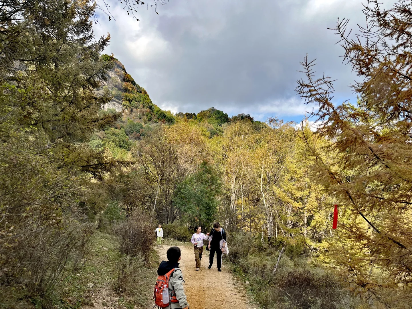 石家庄|没去新疆阿勒泰，被这里美哭了！