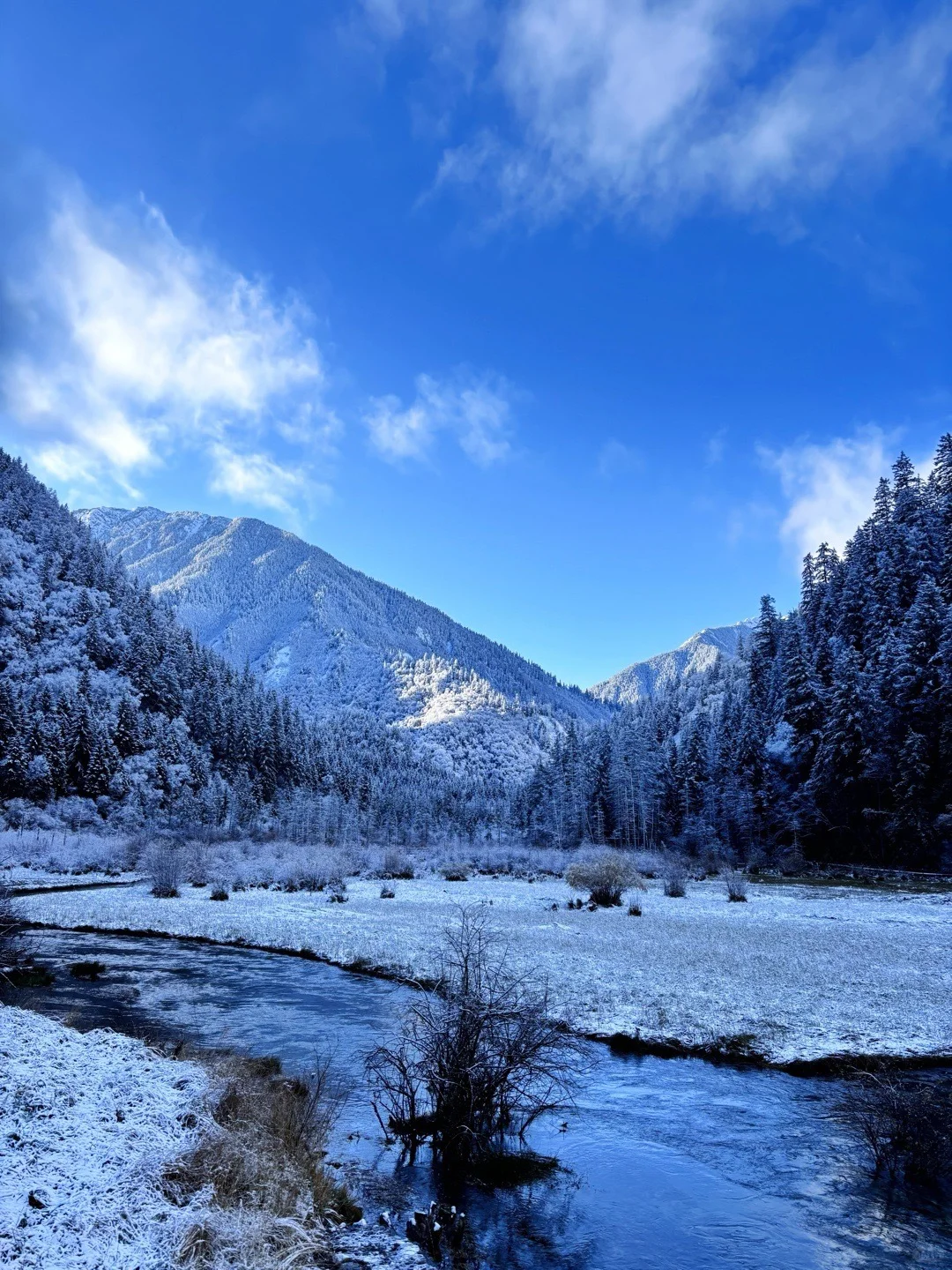 11.17📍九寨沟❗雪景+半价门票真心推荐