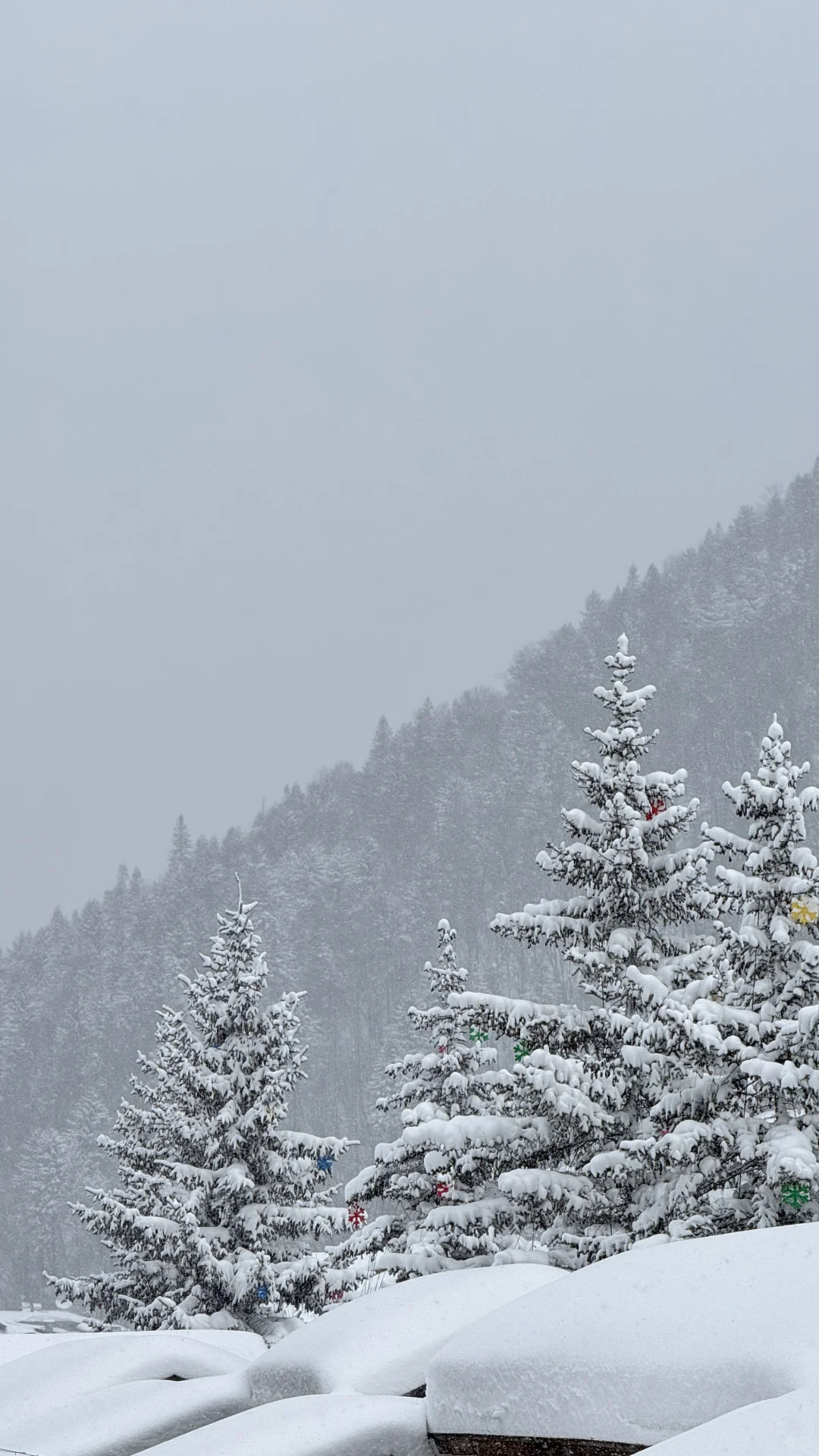 带娃游雪乡超全攻略避坑